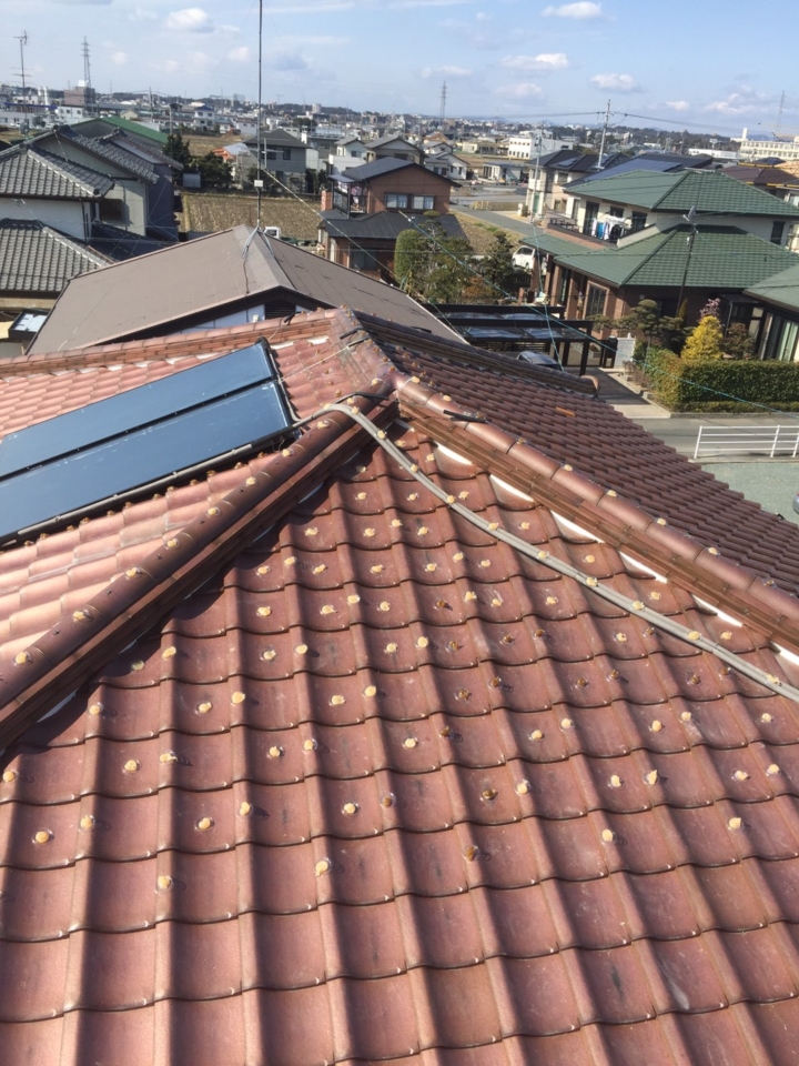 鳩除け工事170119