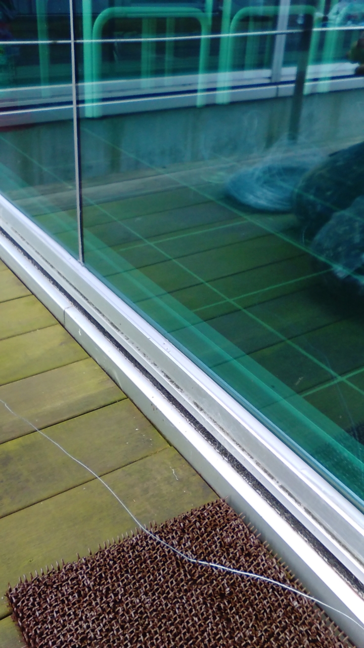 カラス除け工事170204