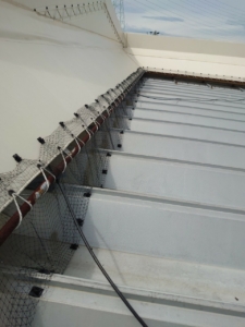 新開興業_210728_11