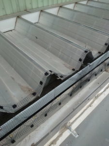 新開興業_210728_17