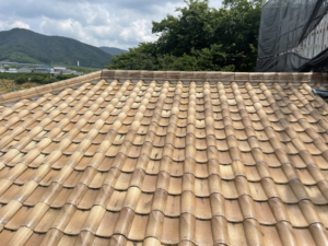 DECD029B-E19D-46E5-8905-4AC9C8DFF647